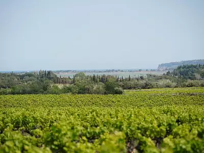 Terrain, 550 000 m²