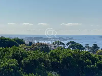 Appartement, 77,5 m²