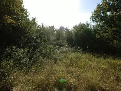 Terrain