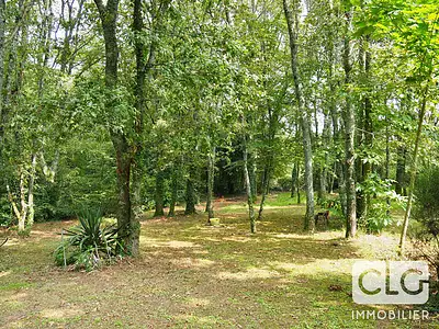 Terrain, 7 694 m²