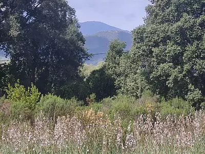 Terrain, 901 m²