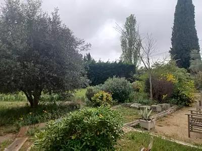 Terrain, 404 m²