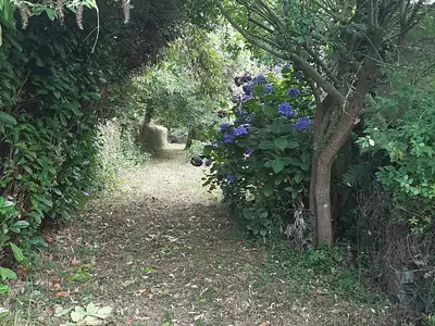 Maison, 96 m²