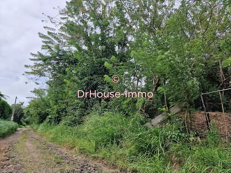 Terrain, 1 299 m²