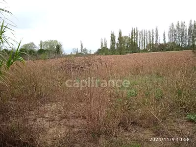 Terrain, 6 250 m²