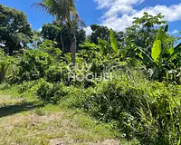 Terrain, 589 m²