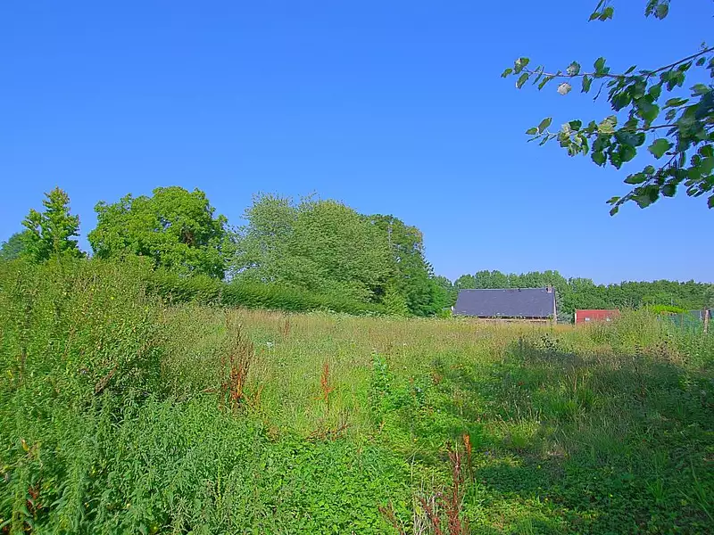 Terrain, 1 219 m²