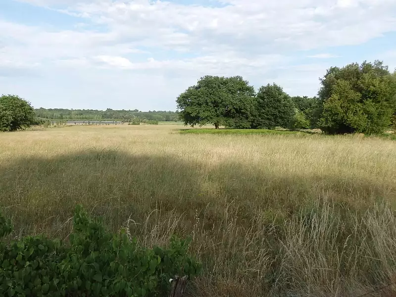Terrain, 34 231 m²