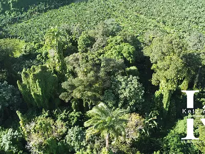 Terrain, 1 777 m²