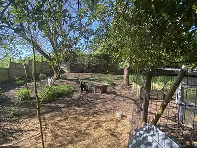 Terrain, 470 m²