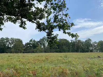 Terrain, 501 m²