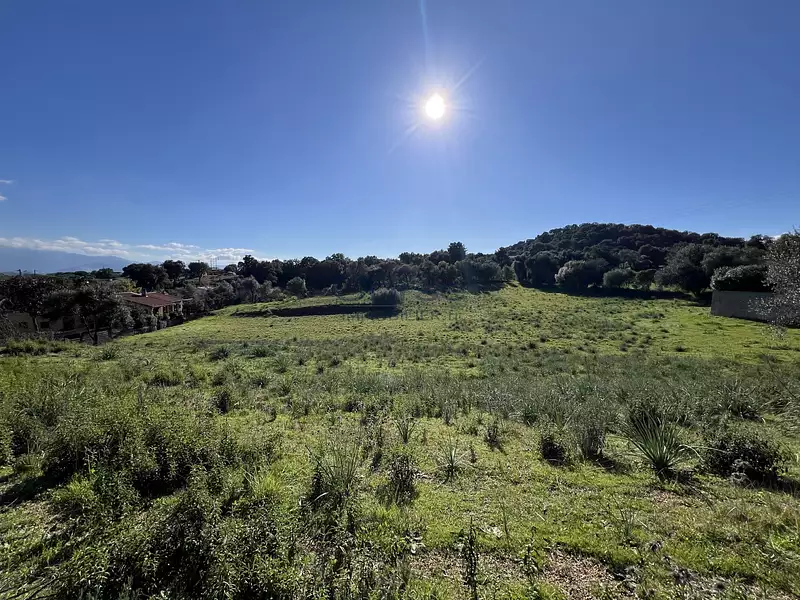 Terrain, 1 000 m²