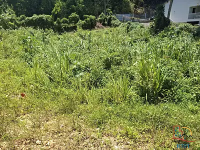 Terrain, 544 m²