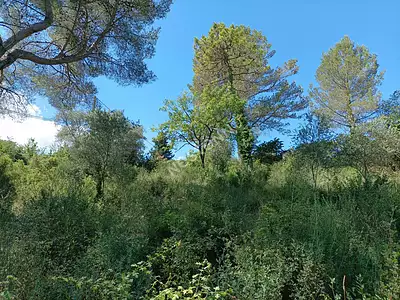 Terrain, 1 323 m²