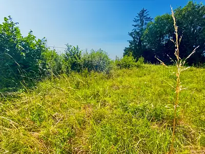 Terrain, 1 200 m²