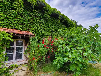 Maison, 100 m²