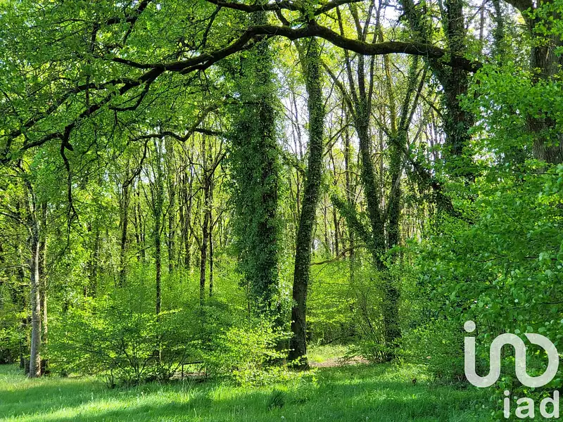 Terrain, 50 000 m²