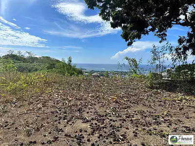 Terrain, 1 206 m²
