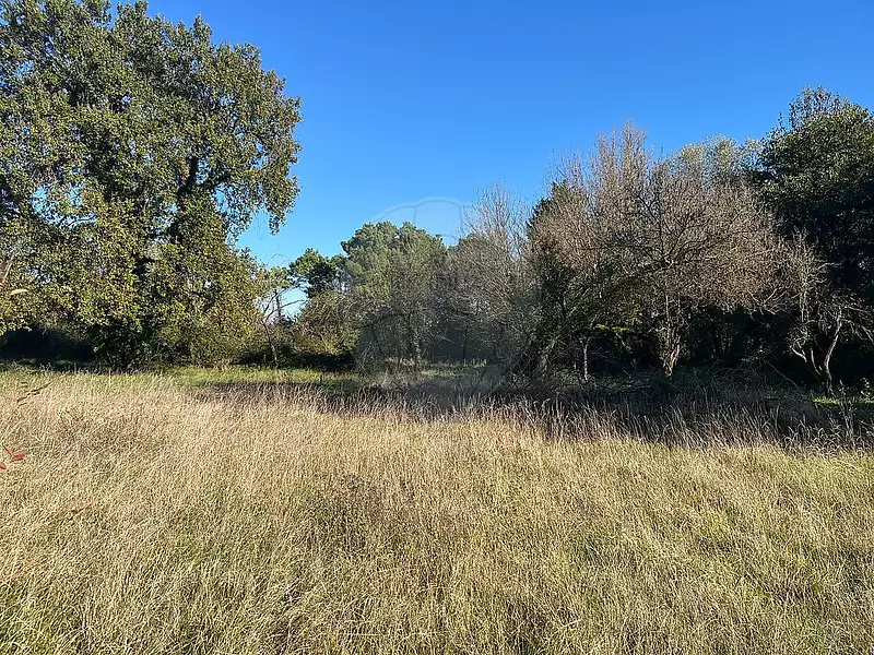 Terrain, 716 m²