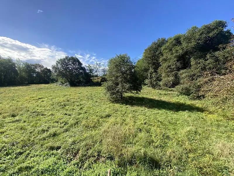 Maison, 137 m²