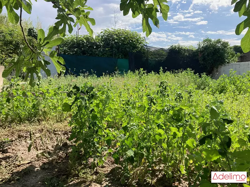 Terrain, 228 m²