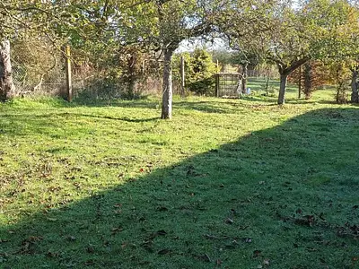 Terrain, 1 251 m²