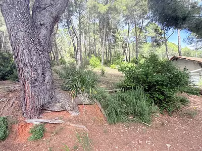 Maison, 206 m²