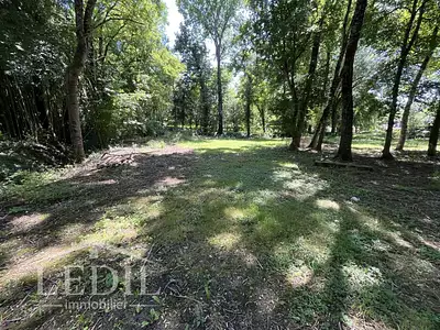 Terrain, 3 773 m²