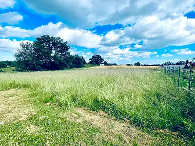 Terrain, 2 287 m²