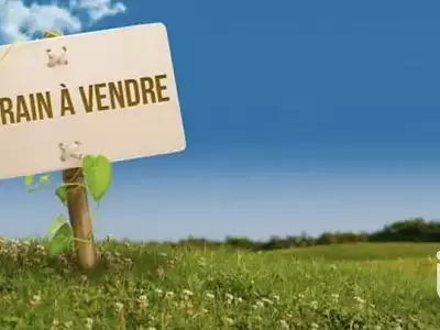 Terrain, 3 564 m²