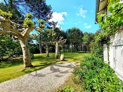 Maison, 229 m²