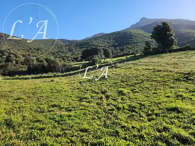 Terrain, 1 500 m²