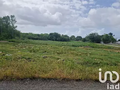 Terrain, 450 m²