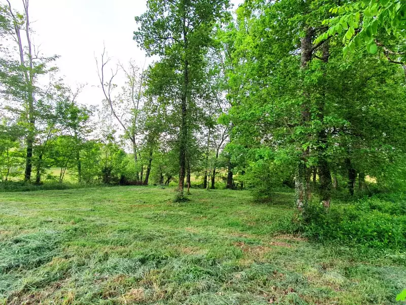 Terrain, 2 390 m²