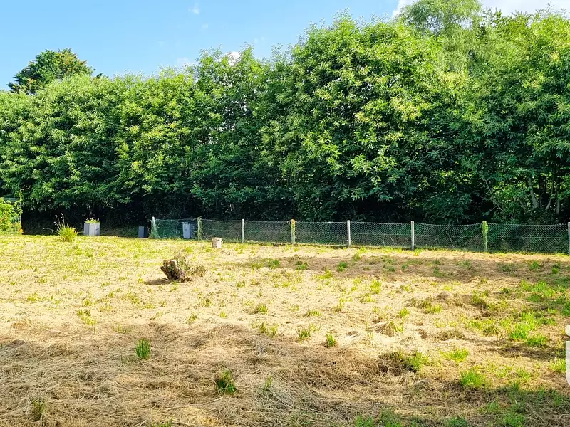 Terrain, 817 m²
