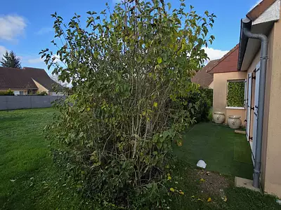 Maison, 68 m²