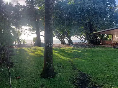 Terrain, 1 150 m²