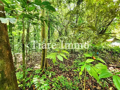 Terrain, 6 953 m²