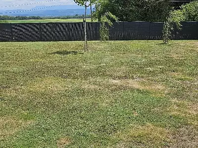 Terrain