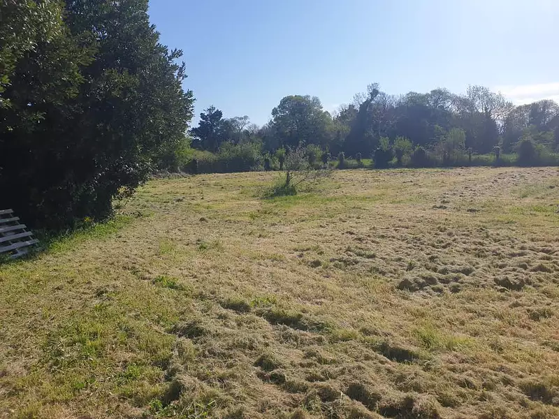Terrain, 1 647 m²