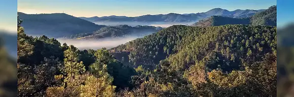 Pierres Des Cevennes