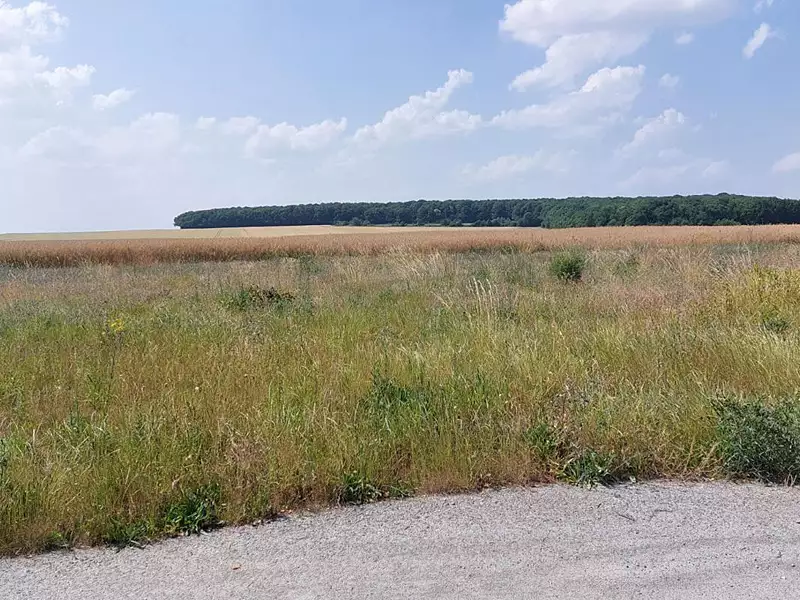 Terrain, 1 496 m²