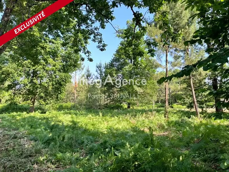 Terrain, 1 100 m²