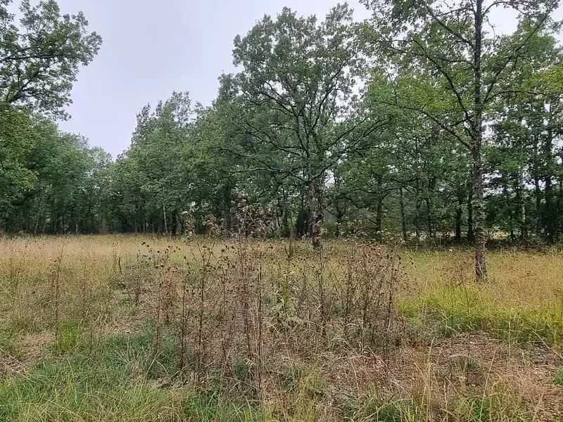 Terrain, 2 954 m²