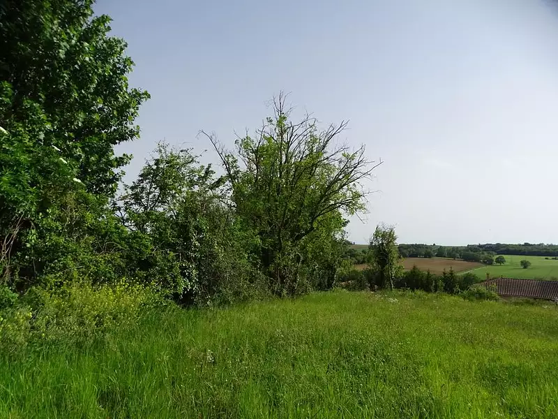 Terrain, 1 250 m²