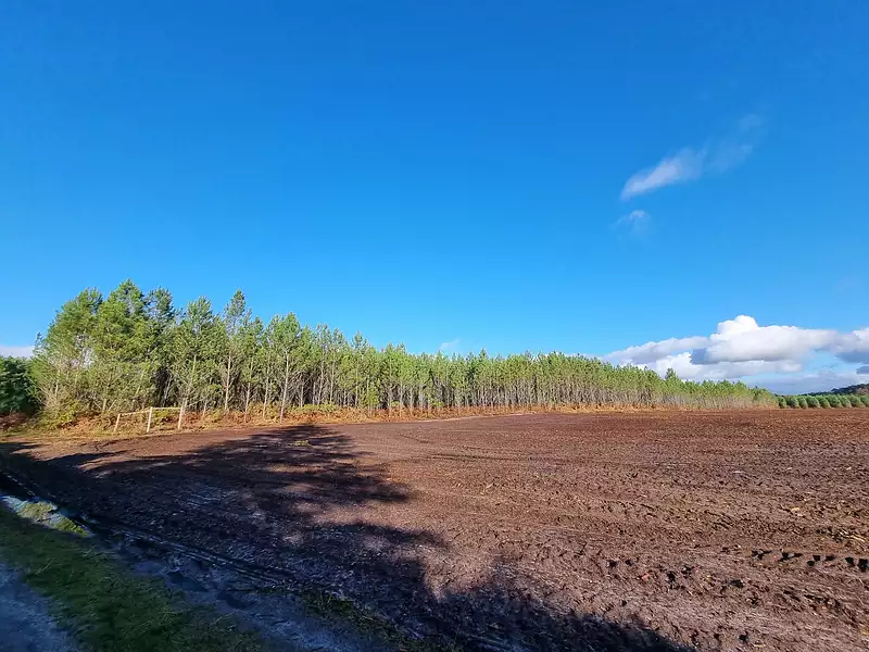 Terrain, 1 000 m²
