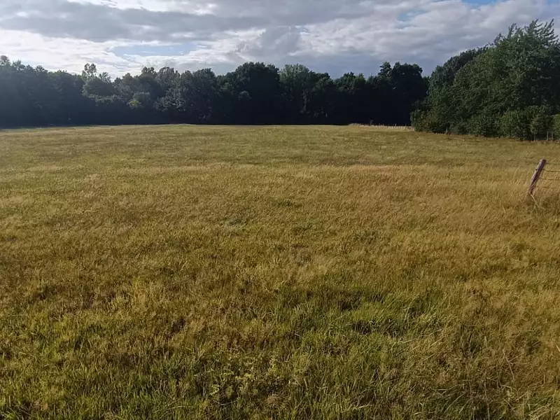 Terrain, 9 159 m²