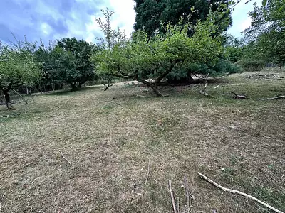 Terrain, 3 739 m²