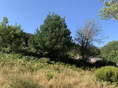 Terrain, 201 m²