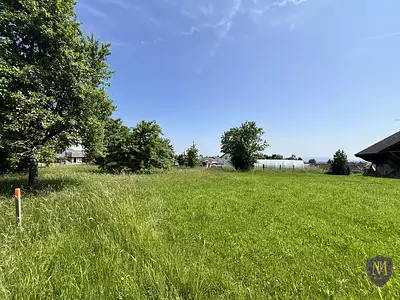 Terrain, 1 323 m²